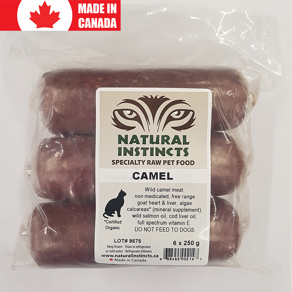 Camel for Cats Natural Instincts