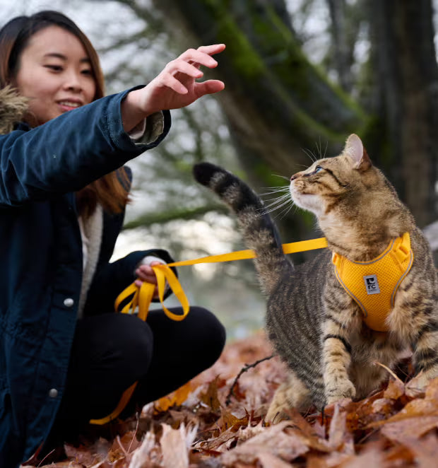 Adventure Kitty Harness URBAN PAW PETS