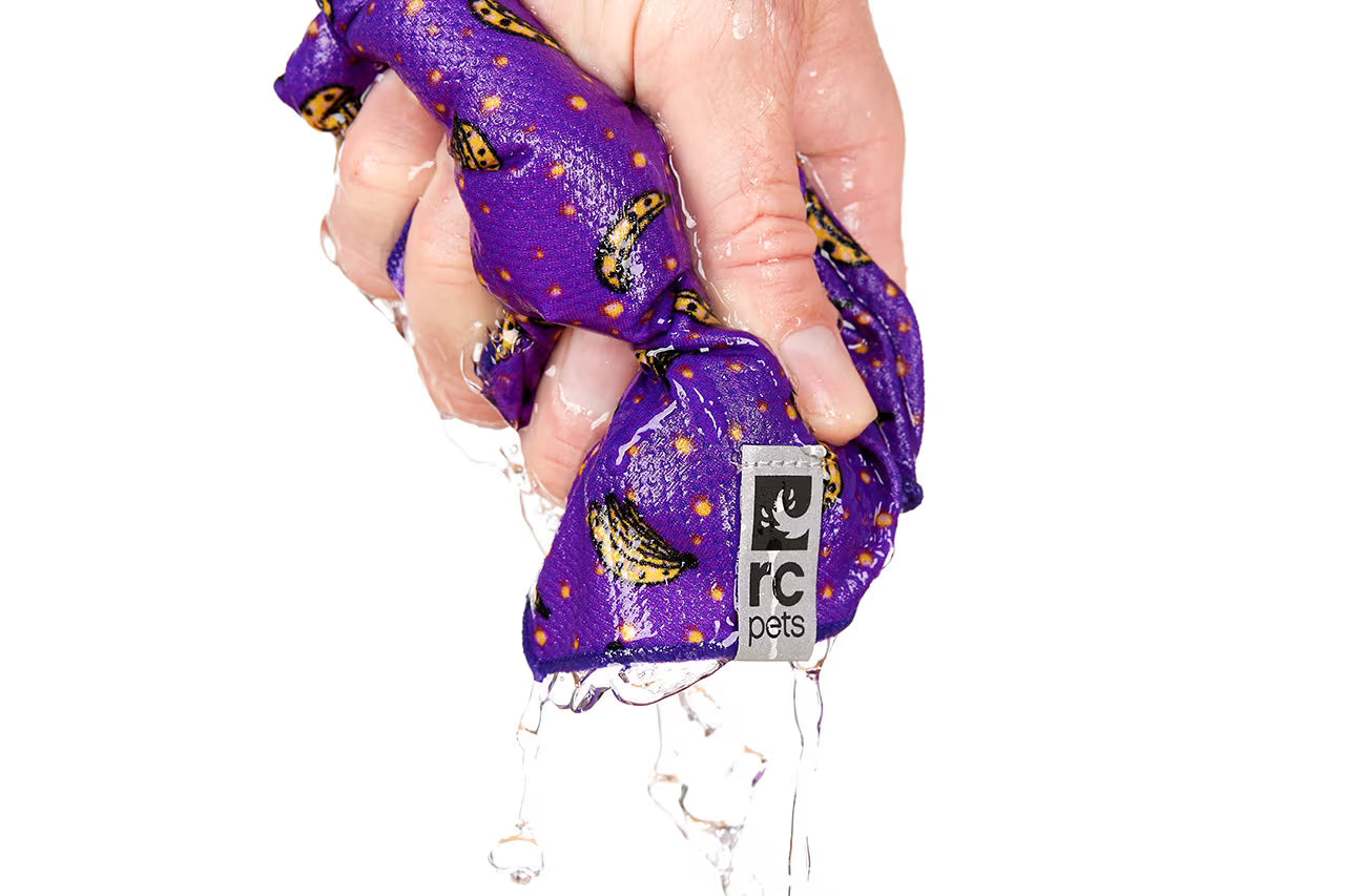 Zephyr Cooling Bandana URBAN PAW PETS