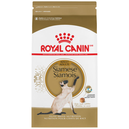 Siamese Royal Canin