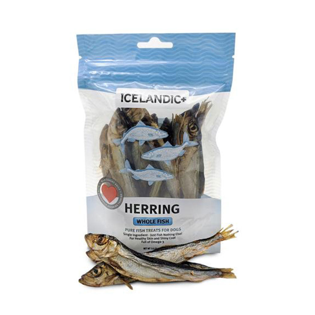 Herring Whole Fish Icelandic+