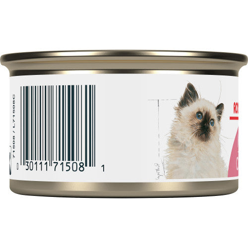 Kitten Thin Slices Royal Canin