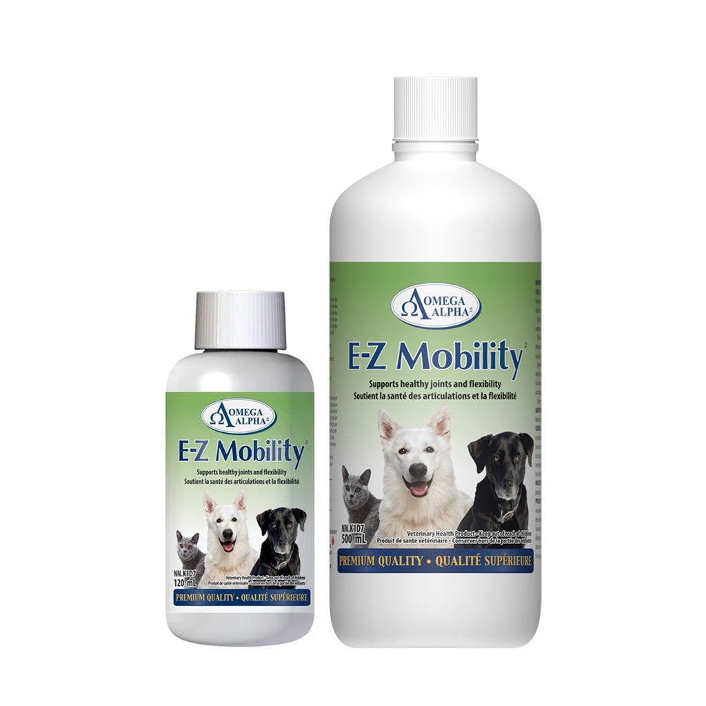 E-Z Mobility Omega Alpha