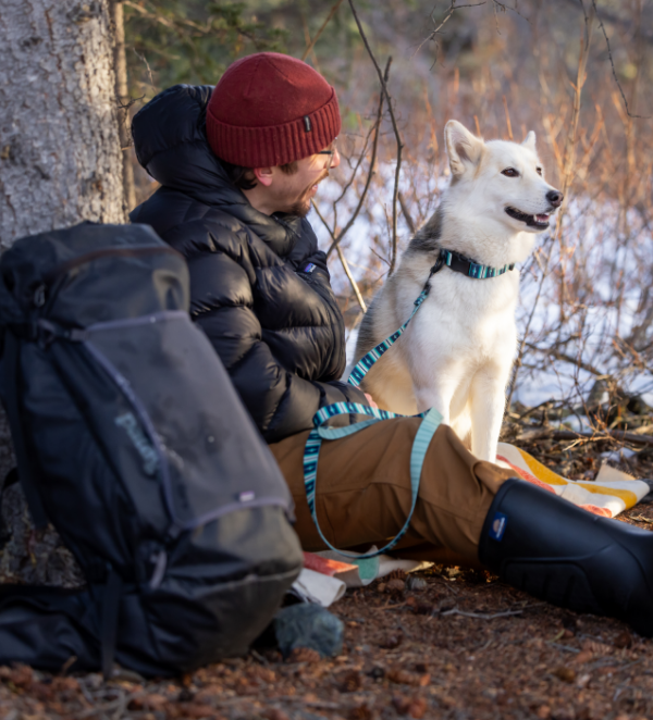 Eco Collar URBAN PAW PETS