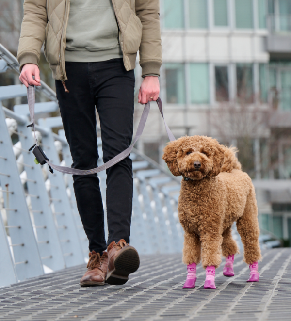 Sporty Pawks URBAN PAW PETS