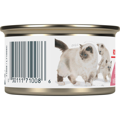 Mother & Babycat Mousseg Royal Canin