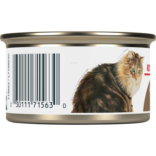 Aging 12+ Thin Slices Royal Canin