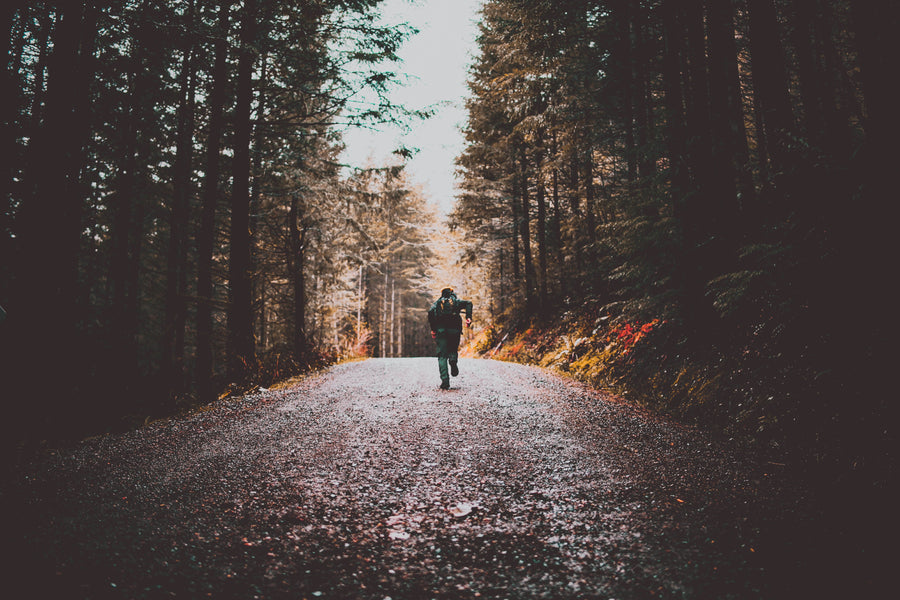 A wet forest trail lined with evergreens on a grey Pacific Northwest day