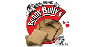 Benny Bullys