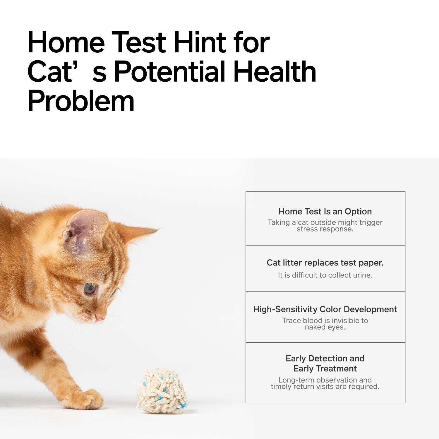 Pidan Tofu Cat litter Occult Blood Test Particles | 2.4 kg per bag - 4 Bag Bundle URBAN PAW PETS