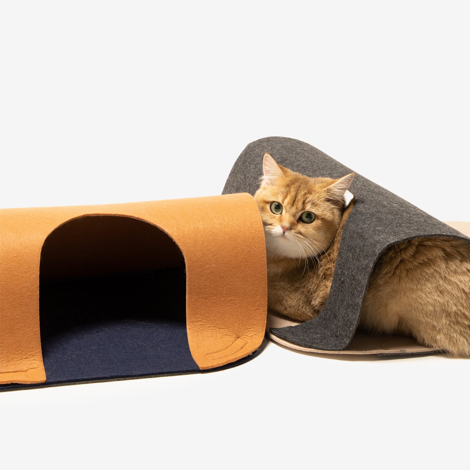 Catube Carpet Tunnel (2 PCS) URBAN PAW PETS