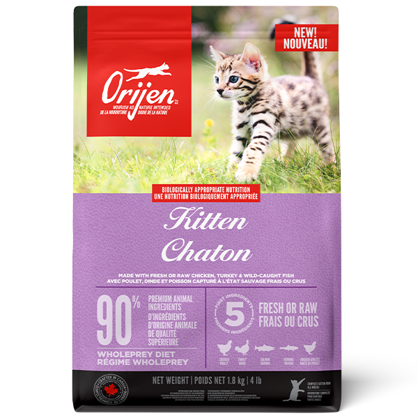 Cat Kitten URBAN PAW PETS