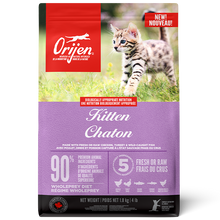 Cat Kitten URBAN PAW PETS