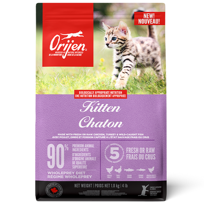 Cat Kitten URBAN PAW PETS