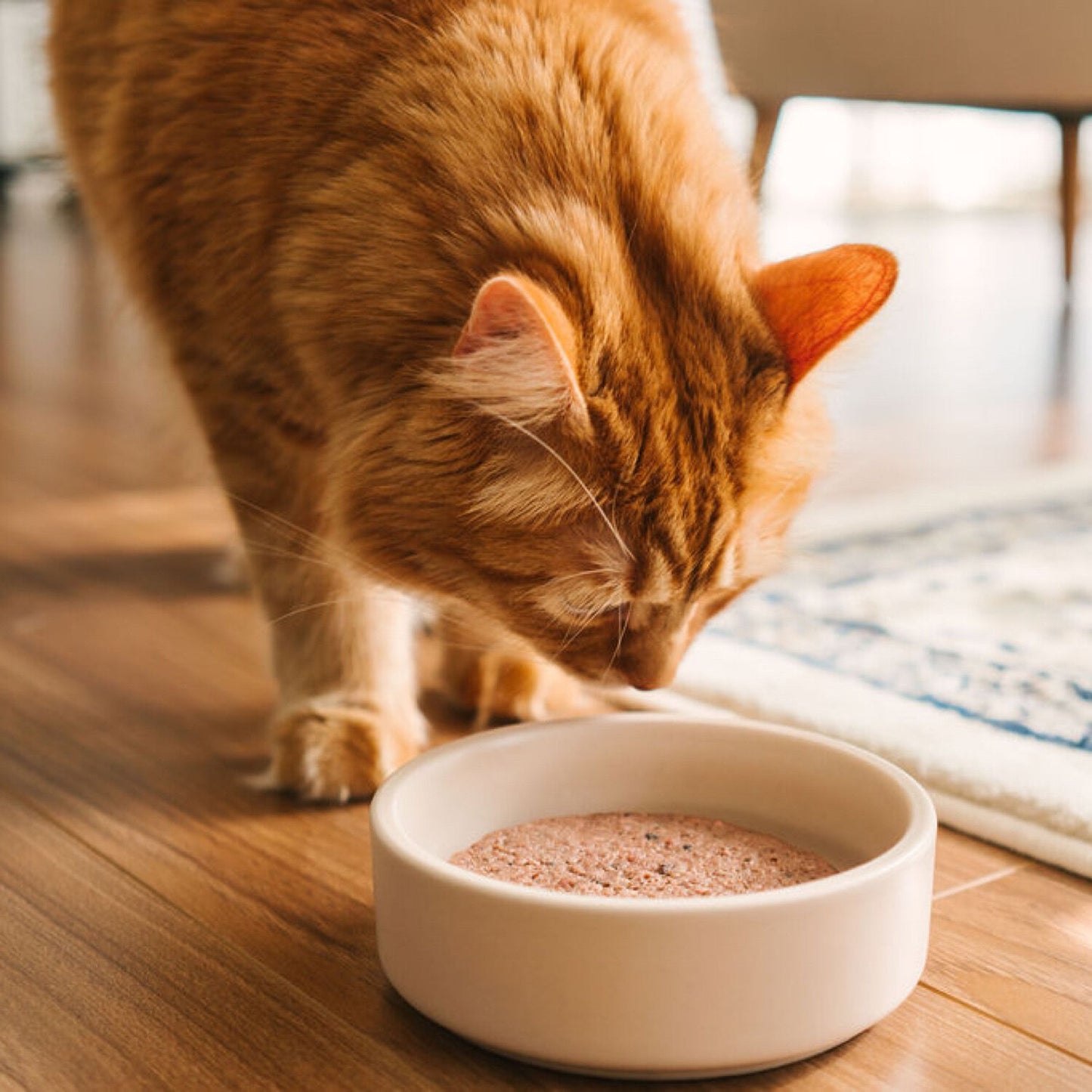 Duck & beef raw cat food Image NaN