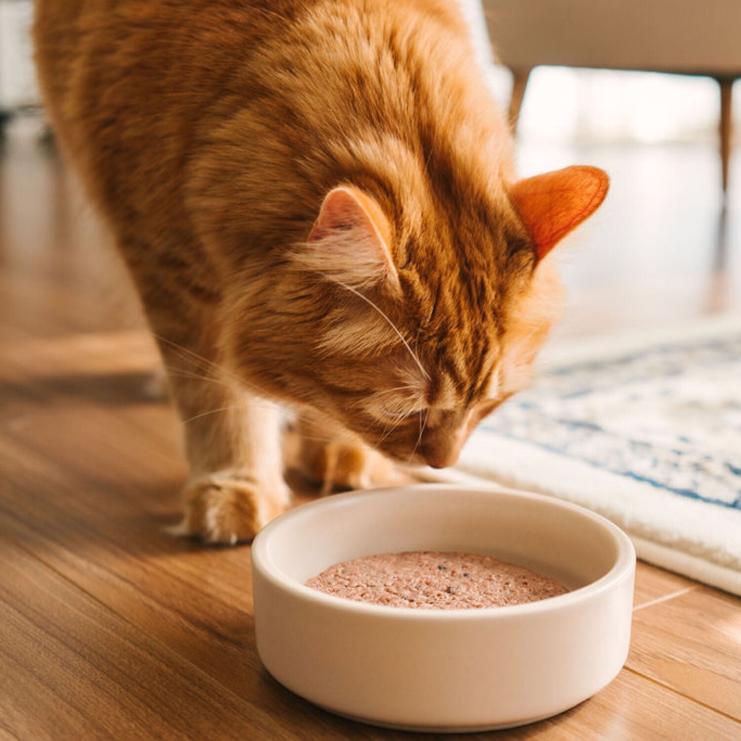 Duck & beef raw cat food Image NaN