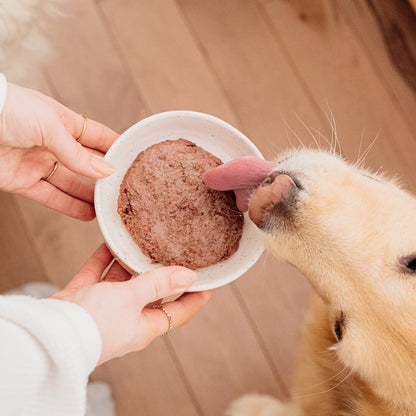 Beef and Broccoli Dog Meal Image NaN