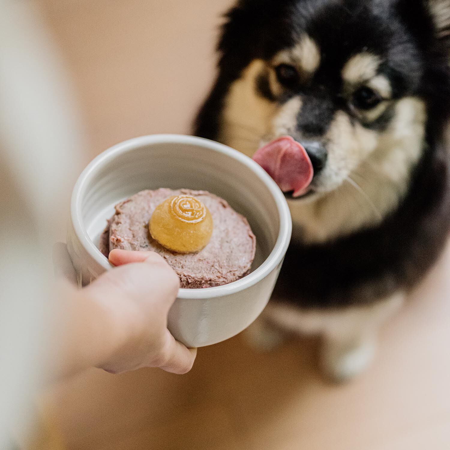 Cozy Bone Broth, 180 ml Image NaN