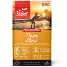 Grain Free Puppy Orijen