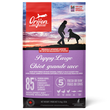 Grain Free Puppy Large Breed Orijen