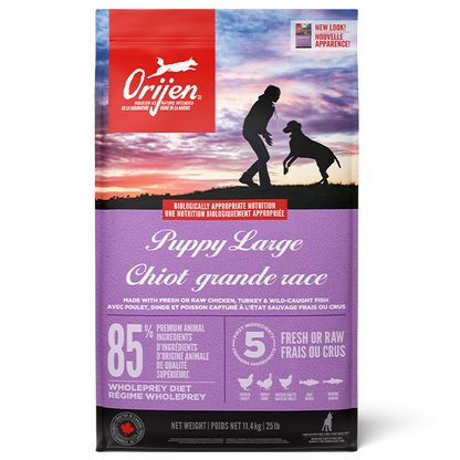 Grain Free Puppy Large Breed Orijen
