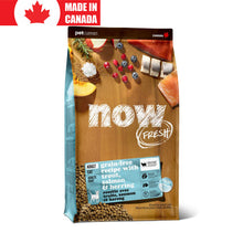 Grain Free Fish for Cats Now Fresh