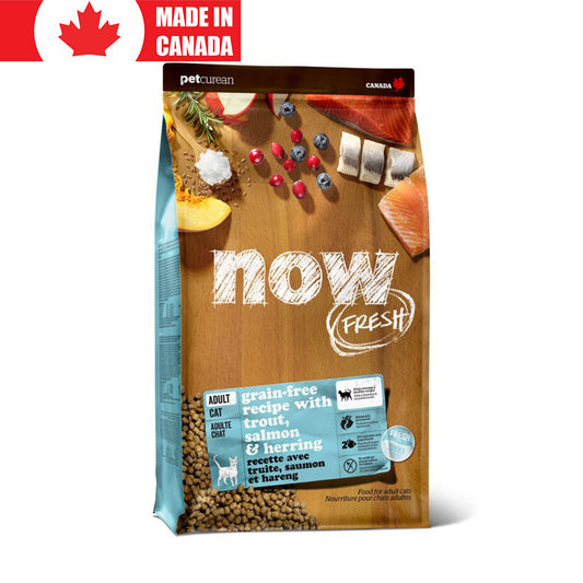 Grain Free Fish for Cats Now Fresh