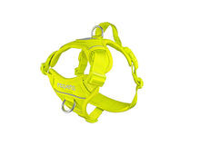 Momentum Control Harness URBAN PAW PETS