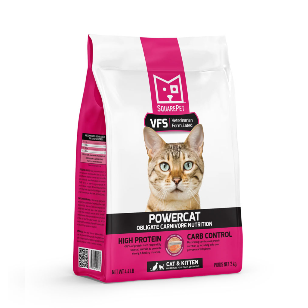 PowerCat Herring & Salmon SquarePet