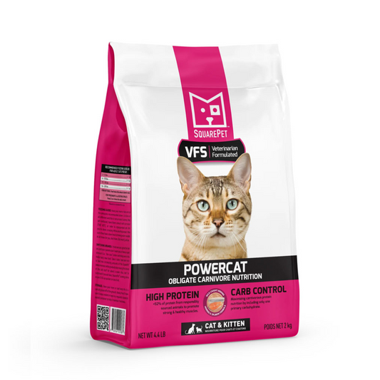 PowerCat Herring & Salmon SquarePet