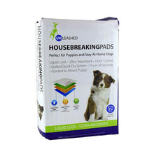 Housebreaking Pads Unleashed