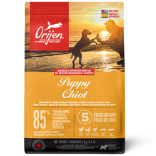 Grain Free Puppy Orijen