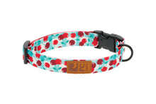 Eco Clip Collar