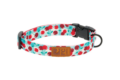 Eco Clip Collar