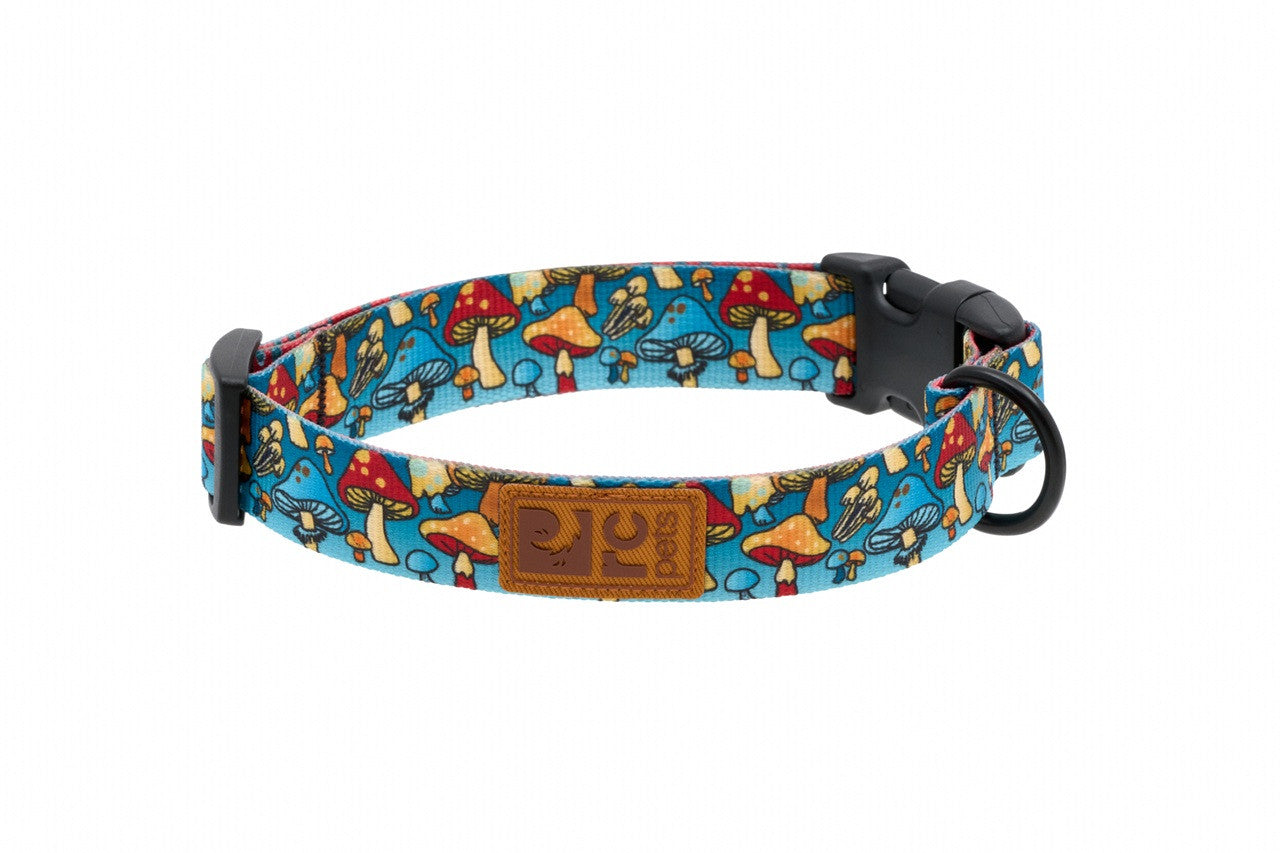 Eco Clip Collar – görsel 4