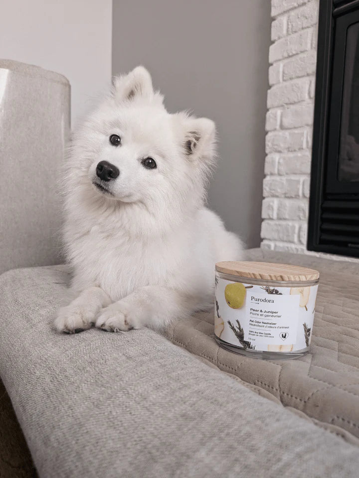 PURODORA Odor Neutralizer Pear-Juniper Soy Wax Candle URBAN PAW PETS