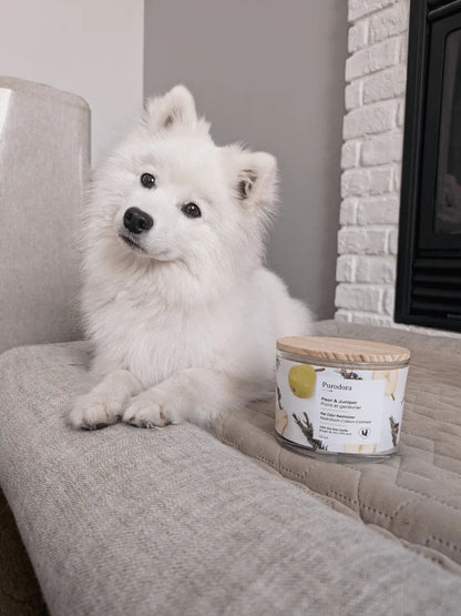PURODORA Odor Neutralizer Pear-Juniper Soy Wax Candle URBAN PAW PETS