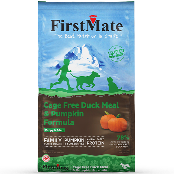 First Mate Duck & Pumpkin