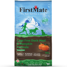 First Mate Duck & Pumpkin