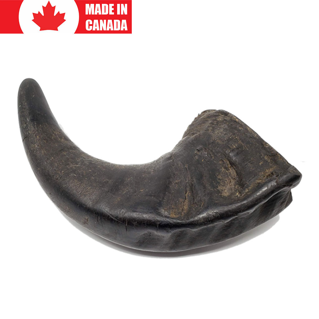 Water Buffalo Horn Open Range