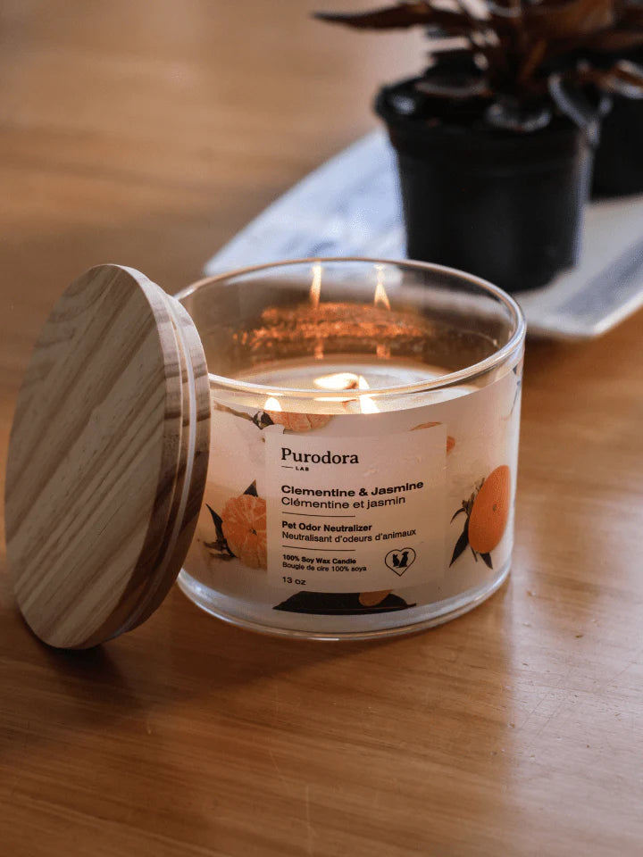 PURODORA Odor Neutralizer Clementine-Jasmine Soy Wax Candle URBAN PAW PETS
