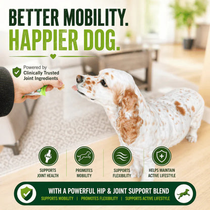 Fam-Pets - Hip & Joint - Soft Chews – görsel 3