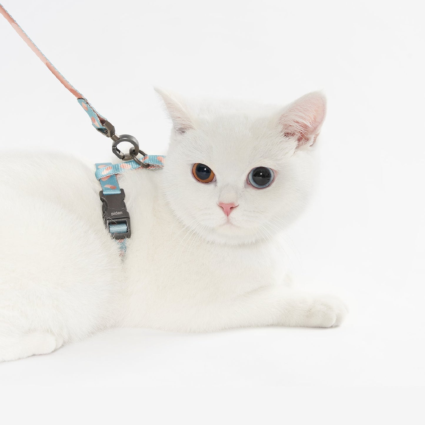 Cat Leash & Harness URBAN PAW PETS