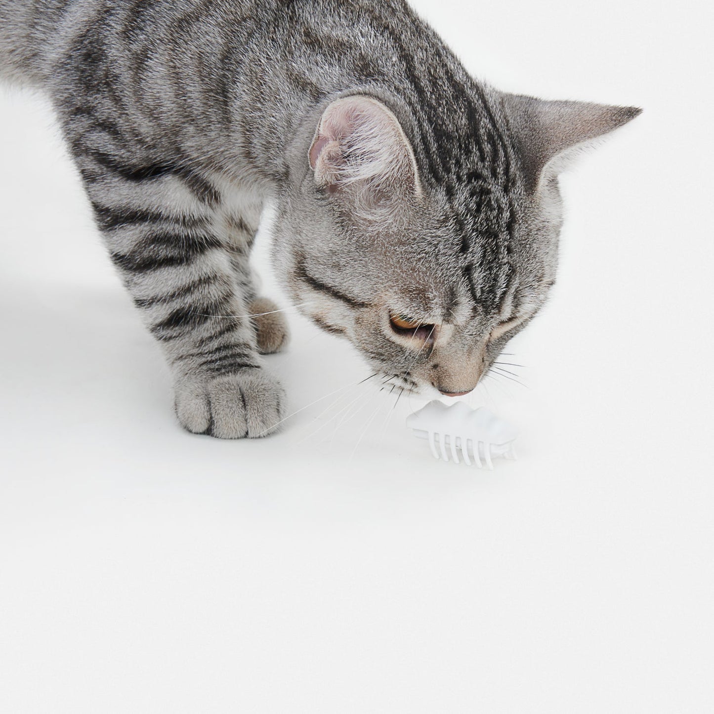 Electronic Cat Teasing Toy - Little Snow Elf URBAN PAW PETS