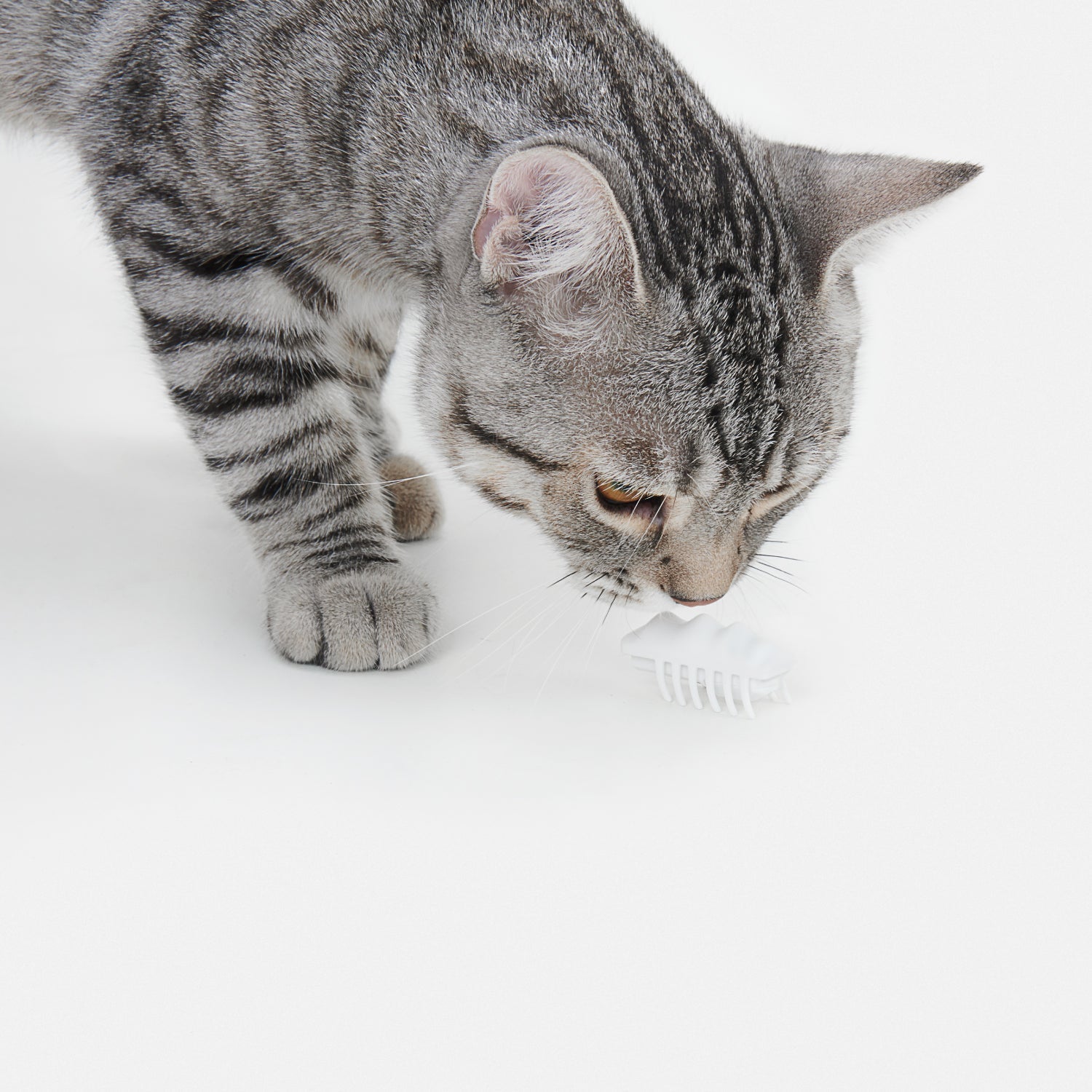 Electronic Cat Teasing Toy - Little Snow Elf URBAN PAW PETS