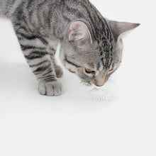 Electronic Cat Teasing Toy - Little Snow Elf URBAN PAW PETS