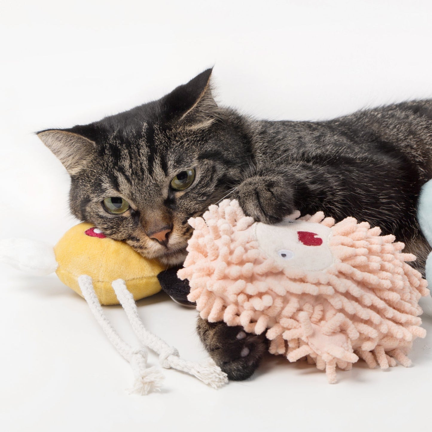 Catnip Plush Toy - Little Monsters URBAN PAW PETS