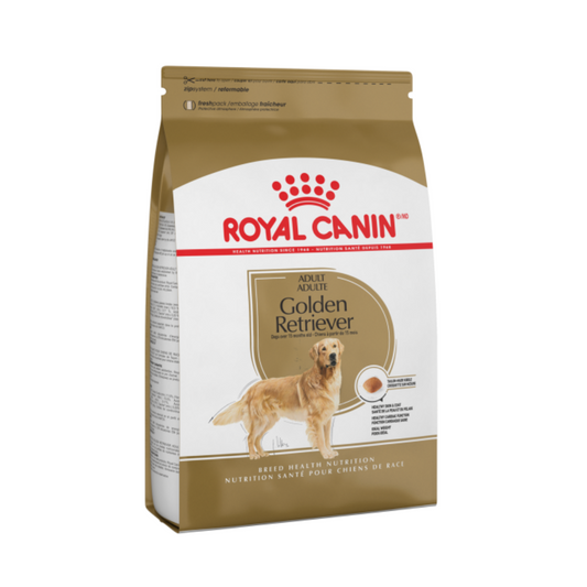 Golden Retriever Adult Royal Canin
