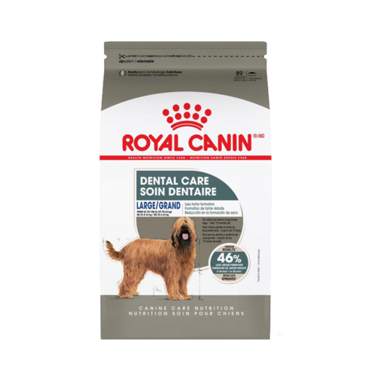 Large Dental Care Royal Canin