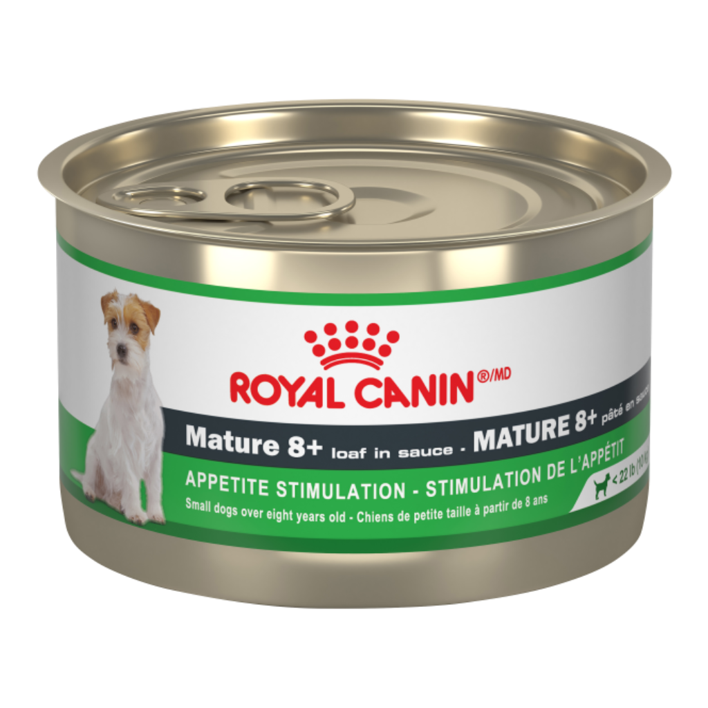 Mature +8 Royal Canin